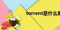 torrent是什么意思?