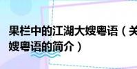 果栏中的江湖大嫂粤语(关于果栏中的江湖大嫂粤语的简介)