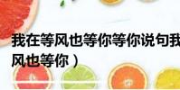 我在等风也等你等你说句我愿意歌词(我在等风也等你)