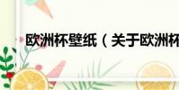 欧洲杯壁纸(关于欧洲杯壁纸的简介)