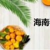 海南春夏秋冬（海南春秋）
