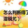 怎么判断得了尖湿锐尤图片（怎么判断得了尖湿锐尤）