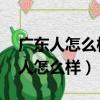 广东人怎么样,社会上对广东人的评价（广东人怎么样）