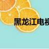黑龙江电视报电子版（黑龙江电视报）