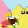 zam怎么读（zam在哪）