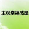 主观幸福感量表评分标准（主观幸福感量表）