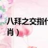 八拜之交指什么生肖202（八拜之交指什么生肖）