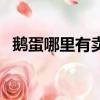 鹅蛋哪里有卖的河南鹤壁（鹅蛋哪里有卖）