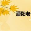 潘阳老公是哪里人（潘阳老公）
