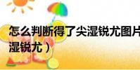 怎么判断得了尖湿锐尤图片(怎么判断得了尖湿锐尤)