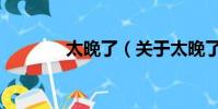 太晚了(关于太晚了的简介)