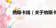 纳斯卡线(关于纳斯卡线的简介)