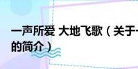 一声所爱 大地飞歌(关于一声所爱 大地飞歌的简介)