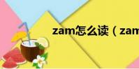 zam怎么读(zam在哪)