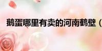 鹅蛋哪里有卖的河南鹤壁(鹅蛋哪里有卖)