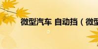 微型汽车 自动挡(微型车自动档)