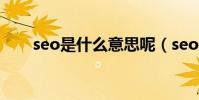 seo是什么意思呢(seo是什么意思)