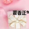 藿香正气胶囊功效与作用（藿香）