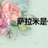 萨拉米是什么意思（萨拉米是什么）