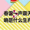 春雷一声震天响指什么生血肖（一声春雷震天响是什么生肖）