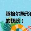 腾格尔隐形的翅膀是哪个节目（腾格尔 隐形的翅膀）
