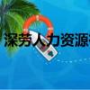 深劳人力资源有限公司电话（深劳人力资源）
