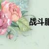 战斗服饰参考（服装战斗师）