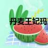 丹麦王妃玛丽出访罗马（丹麦王妃玛丽）