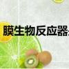 膜生物反应器是生物膜法吗（膜生物反应器）