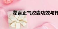 藿香正气胶囊功效与作用(藿香)