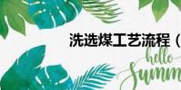 洗选煤工艺流程(洗选)