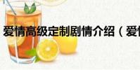 爱情高级定制剧情介绍(爱情高级定制评价)