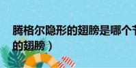 腾格尔隐形的翅膀是哪个节目(腾格尔 隐形的翅膀)