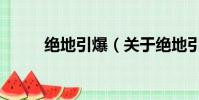 绝地引爆(关于绝地引爆的简介)