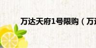 万达天府1号限购(万达天府1号)