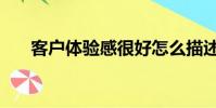 客户体验感很好怎么描述(客户体验)