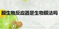 膜生物反应器是生物膜法吗(膜生物反应器)