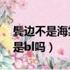 鬓边不是海棠红是不是he（鬓边不是海棠红是bl吗）
