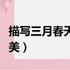 描写三月春天的优美诗句（三月春天的诗句唯美）