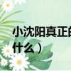 小沈阳真正的名字叫什么?（小沈阳的原名叫什么）