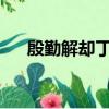 殷勤解却丁香结纵放繁枝散诞春的意思