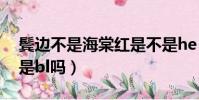 鬓边不是海棠红是不是he(鬓边不是海棠红是bl吗)