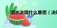 泪水决堤什么意思(决堤什么意思)