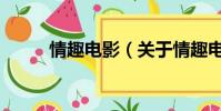 情趣电影(关于情趣电影的简介)