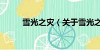 雪光之灾(关于雪光之灾的简介)