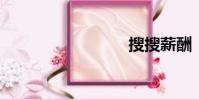 搜搜薪酬