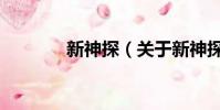 新神探(关于新神探的简介)