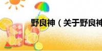 野良神(关于野良神的简介)