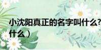 小沈阳真正的名字叫什么?(小沈阳的原名叫什么)