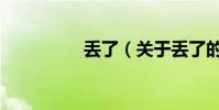 丢了(关于丢了的简介)
